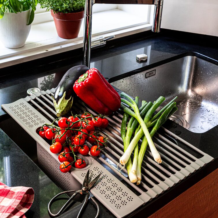 Wayfair over discount sink dish rack